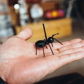 Набір шпажек для канапе Мурахи