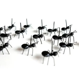 Набір шпажек для канапе Мурахи