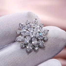 Сережки Астра
