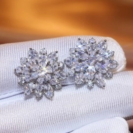 Сережки Астра