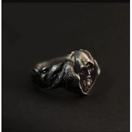 Кільце Володар Гендальфа, 22